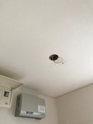 image2_8.jpeg