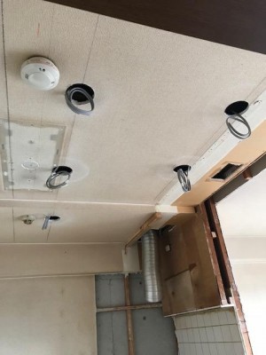 image3_11.jpeg