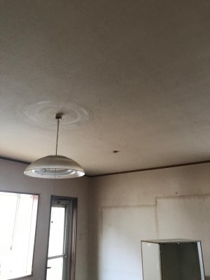 image13_2.jpeg