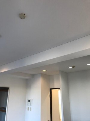 image3_11.jpeg